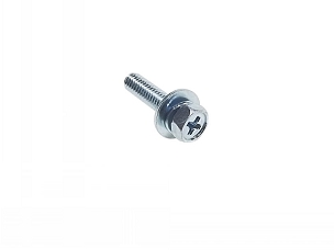 841552 SCREW - BRIGGS